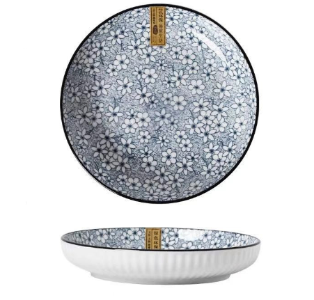 Japanese Ceramic Tableware Set