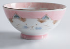 Animal Cartoon Rice Bowl Set for Kids