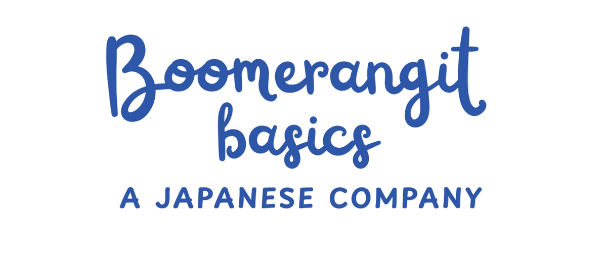 BoomerangIt Basics